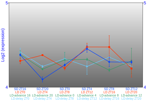 Expression graph