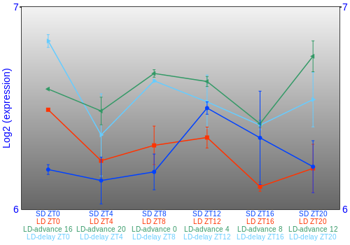Expression graph