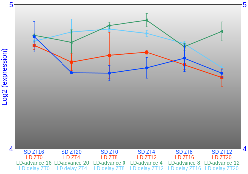 Expression graph