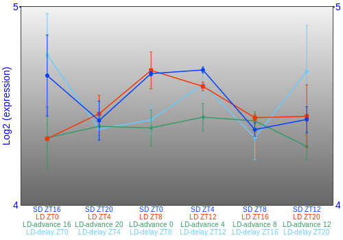 Expression graph
