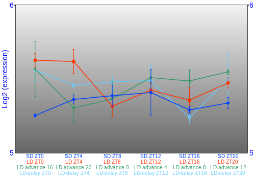 Expression graph