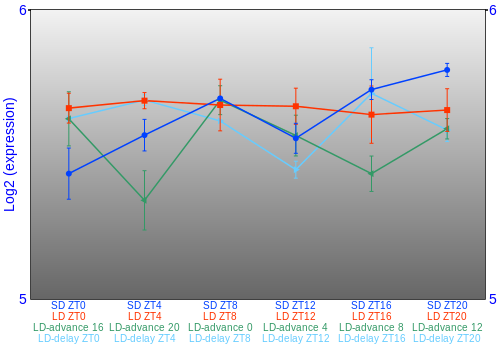 Expression graph