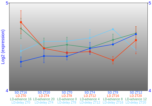Expression graph