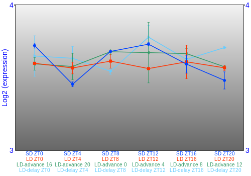 Expression graph