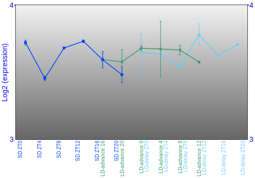 Expression graph