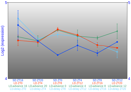 Expression graph