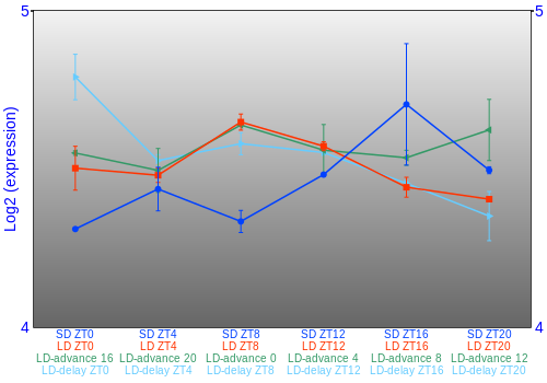 Expression graph