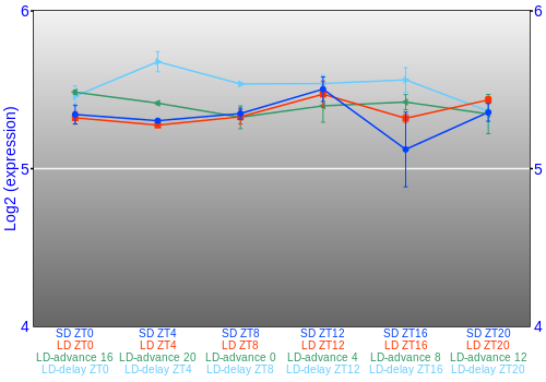Expression graph