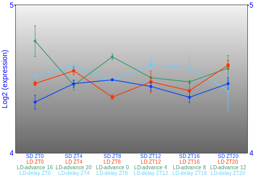 Expression graph
