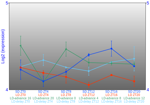 Expression graph