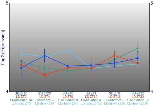 Expression graph