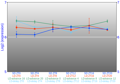 Expression graph