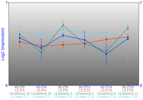 Expression graph