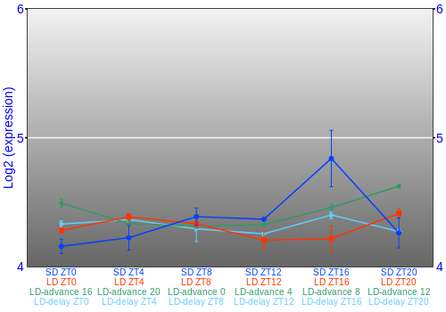 Expression graph