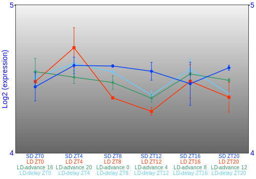 Expression graph
