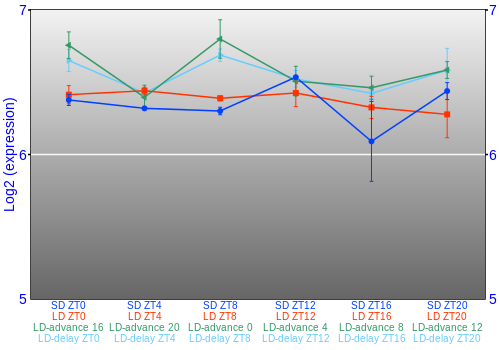 Expression graph