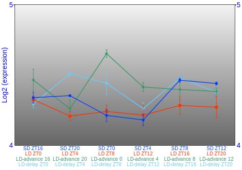 Expression graph