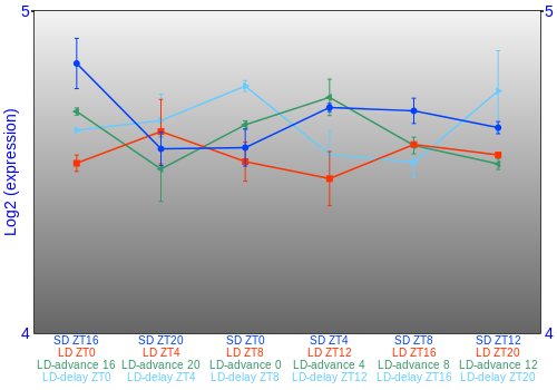 Expression graph