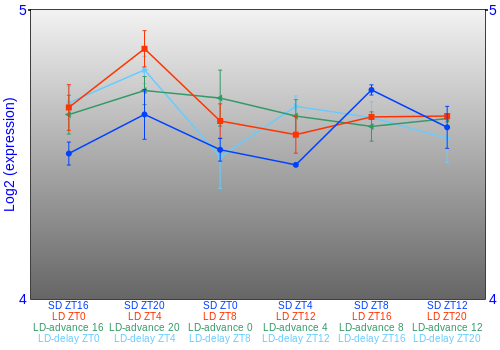 Expression graph