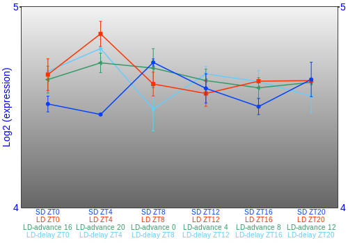Expression graph