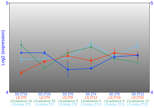 Expression graph