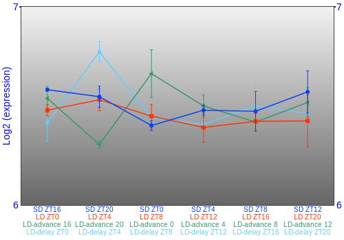 Expression graph