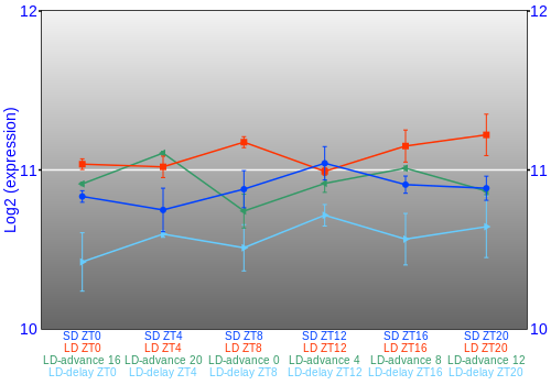 Expression graph