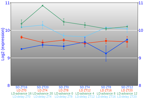 Expression graph