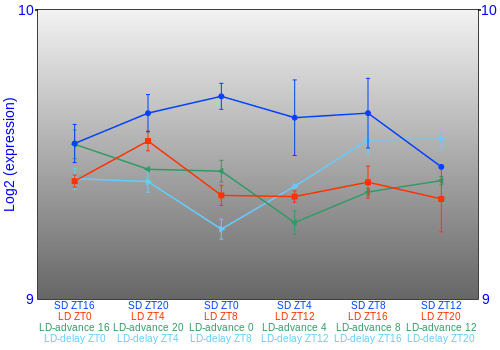 Expression graph