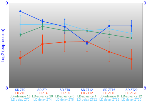 Expression graph