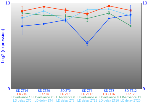 Expression graph