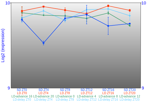 Expression graph