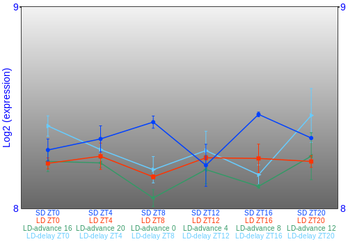 Expression graph