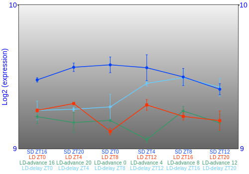 Expression graph