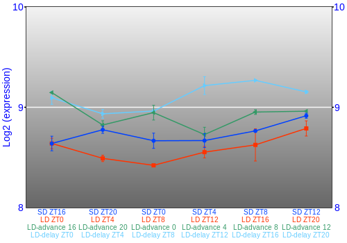 Expression graph