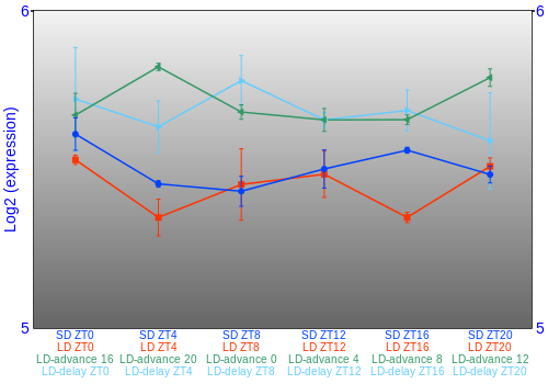 Expression graph
