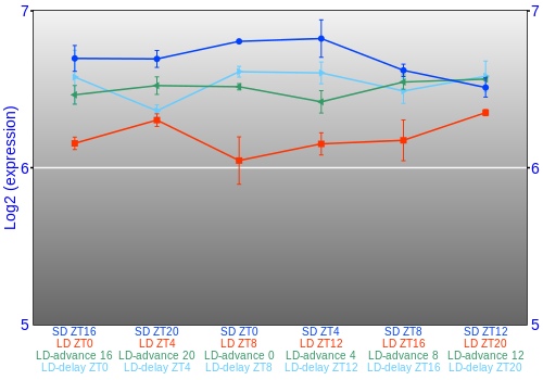 Expression graph