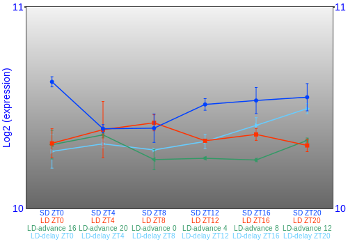 Expression graph