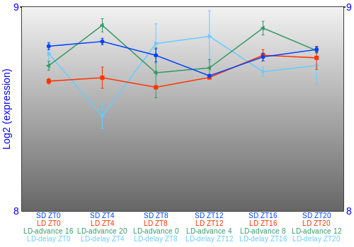 Expression graph