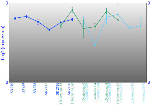 Expression graph