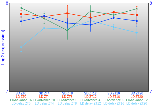 Expression graph