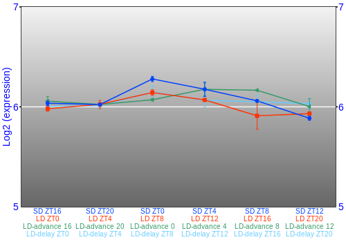 Expression graph