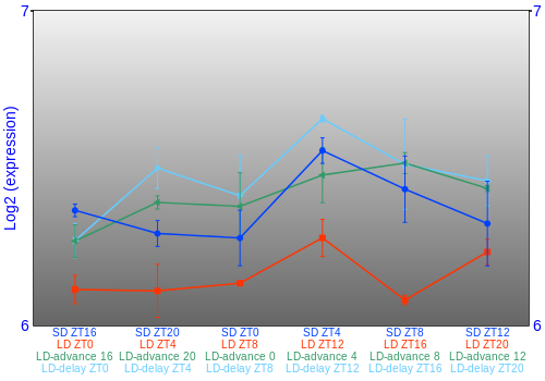 Expression graph