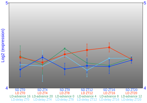 Expression graph