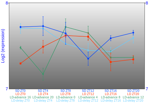 Expression graph