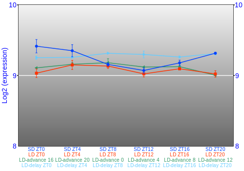 Expression graph