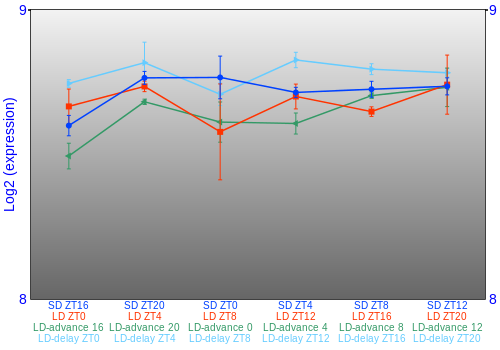 Expression graph