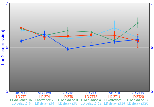 Expression graph