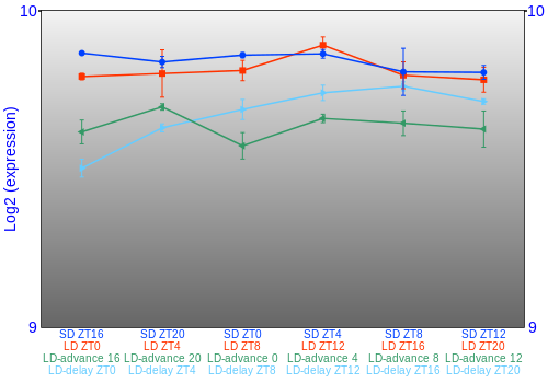 Expression graph