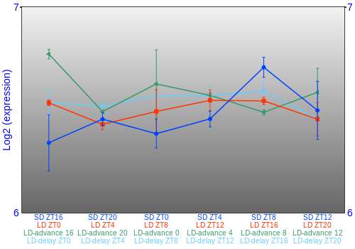Expression graph